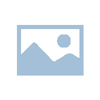 成都大运会指定用车（Designated car for the Chengdu University Games）